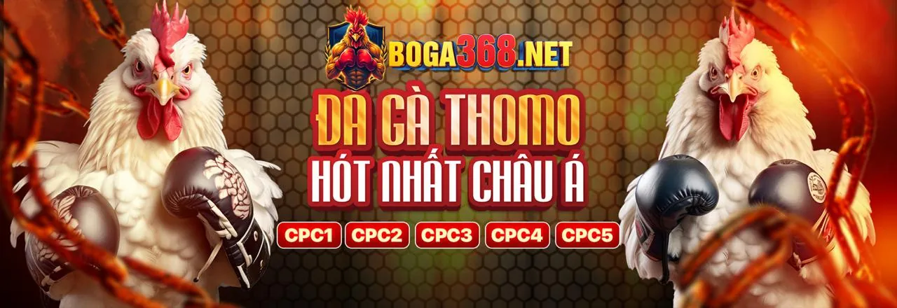 Những lý do hàng đầu để chọn tai go88.net cho trải nghiệm cá cược trực tuyến